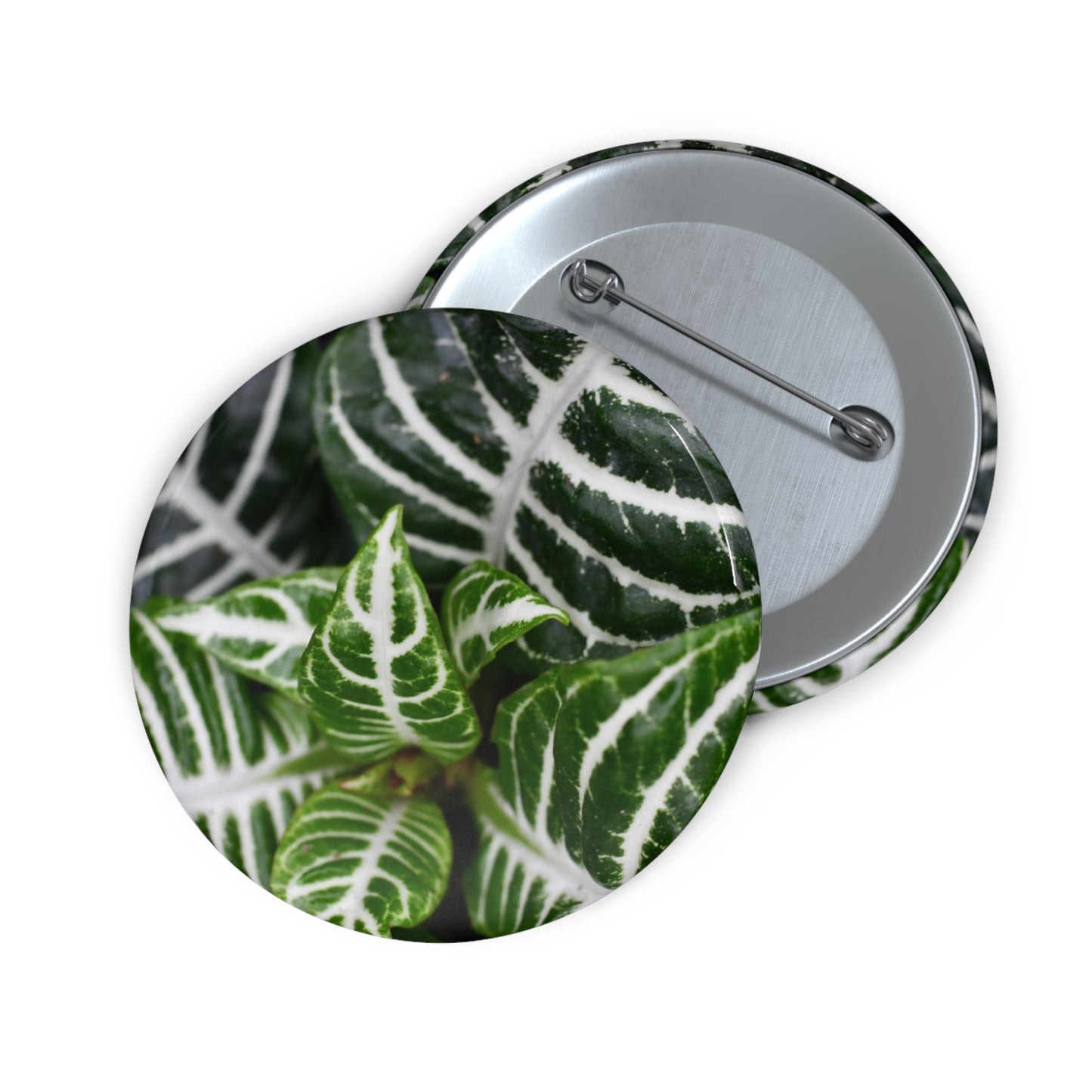 Zebra Plant Button