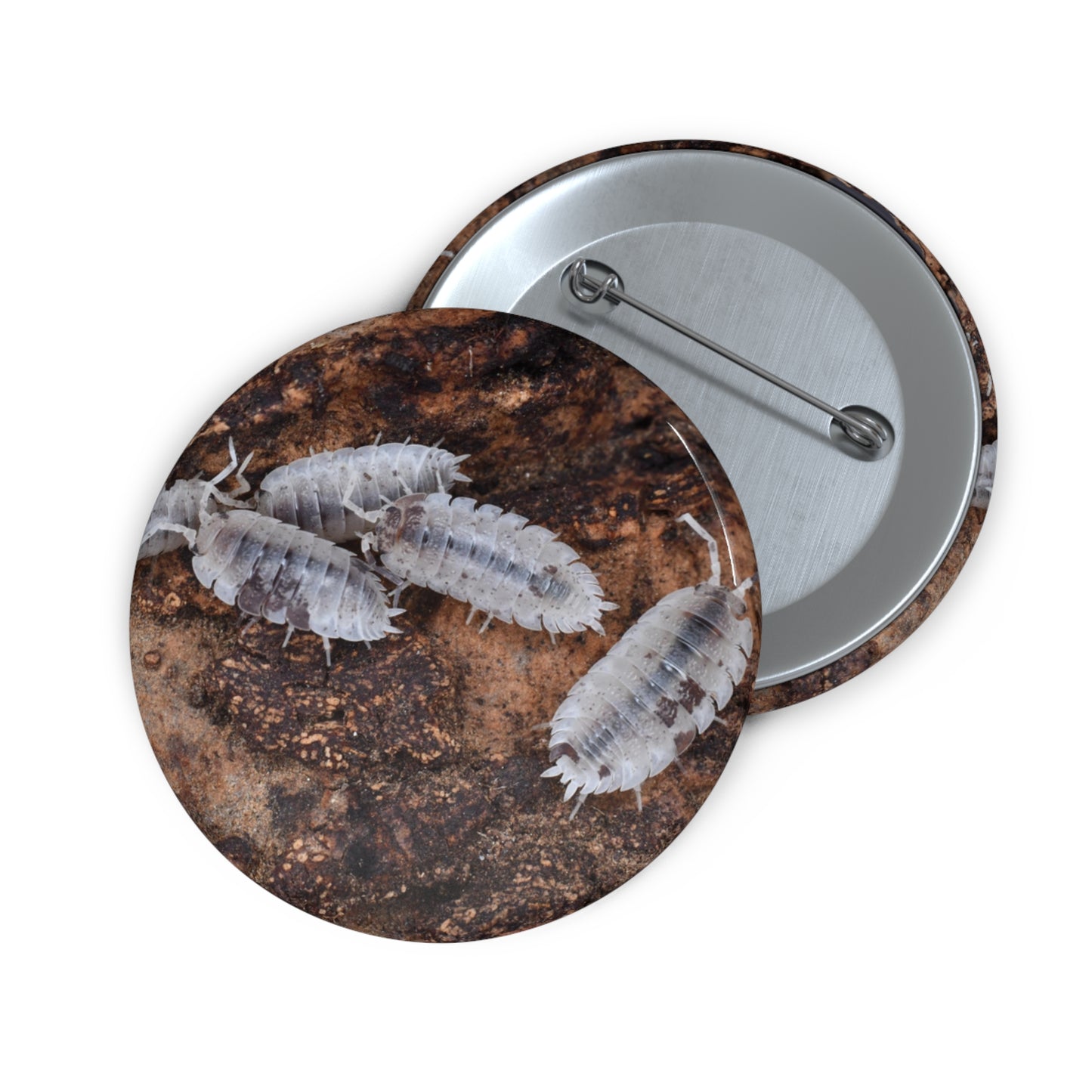 Dalmatian Isopod Button