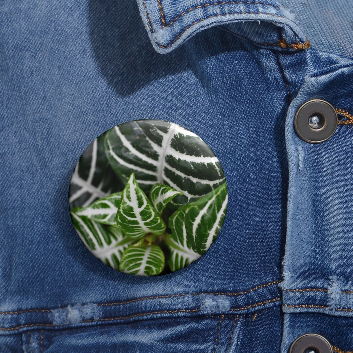 Zebra Plant Button