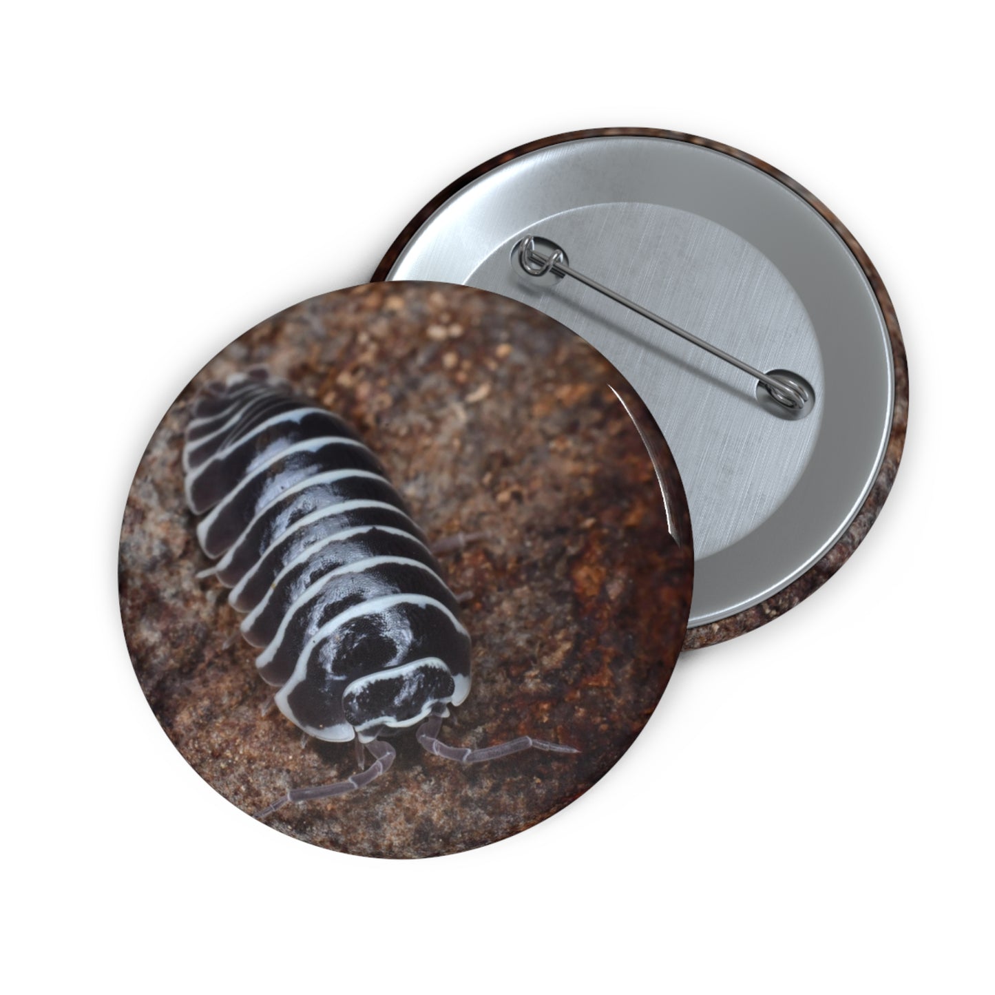 Zebra Isopod Button