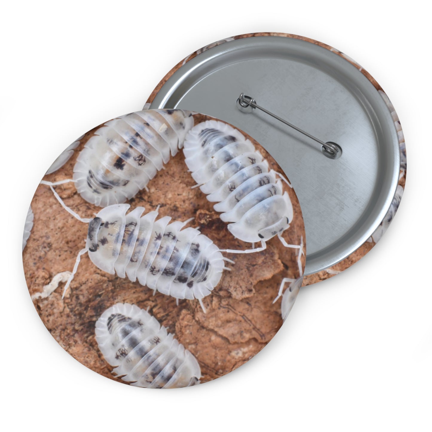 Shiro Utsuri Isopod Button