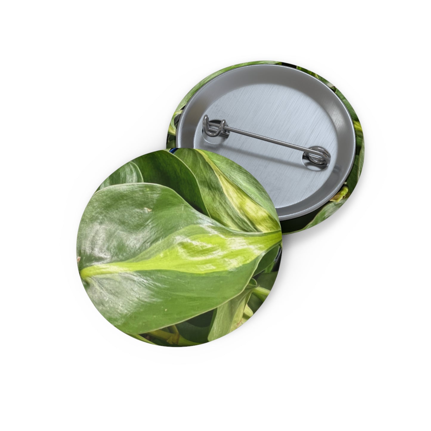 Philodendron Brazil Plant Button