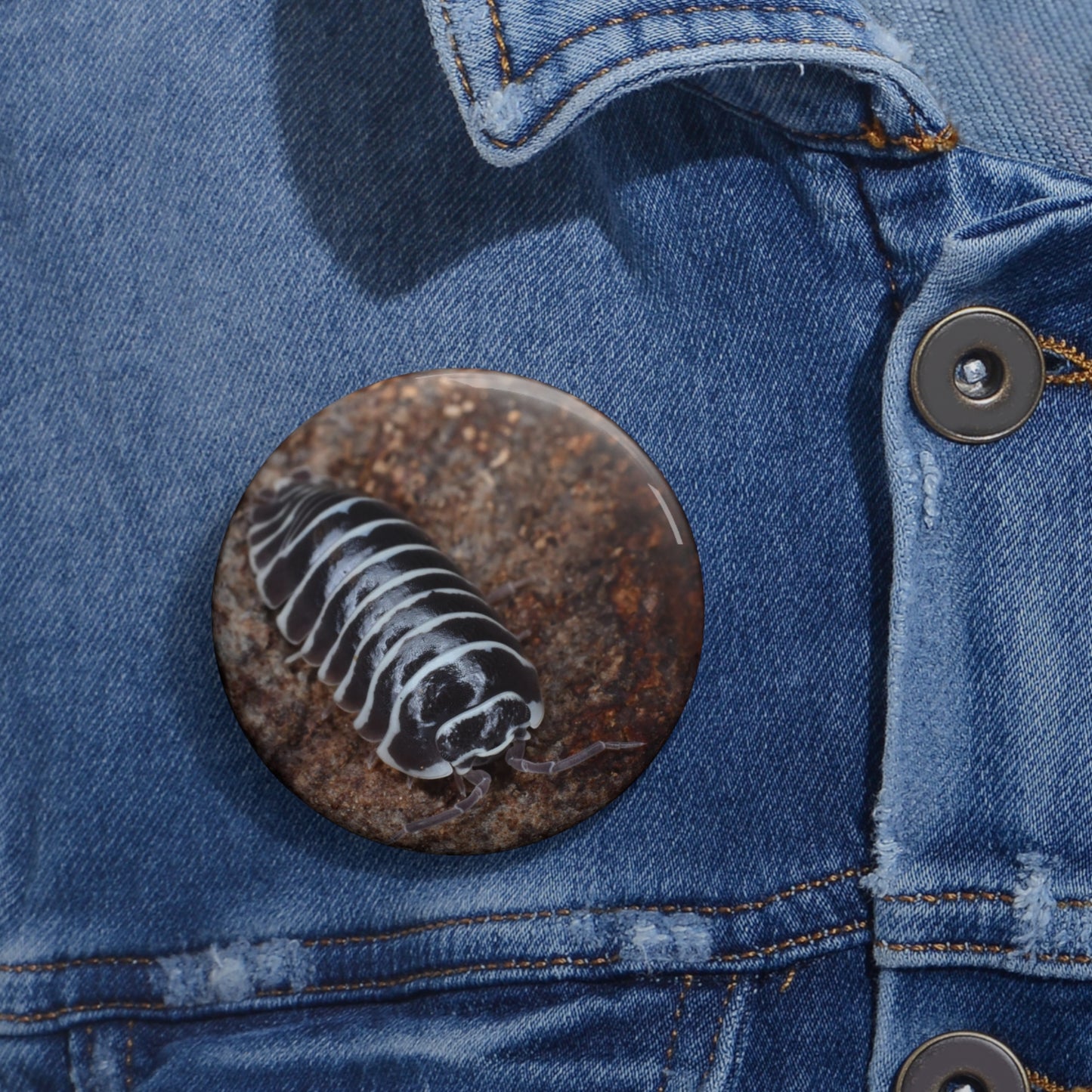 Zebra Isopod Button