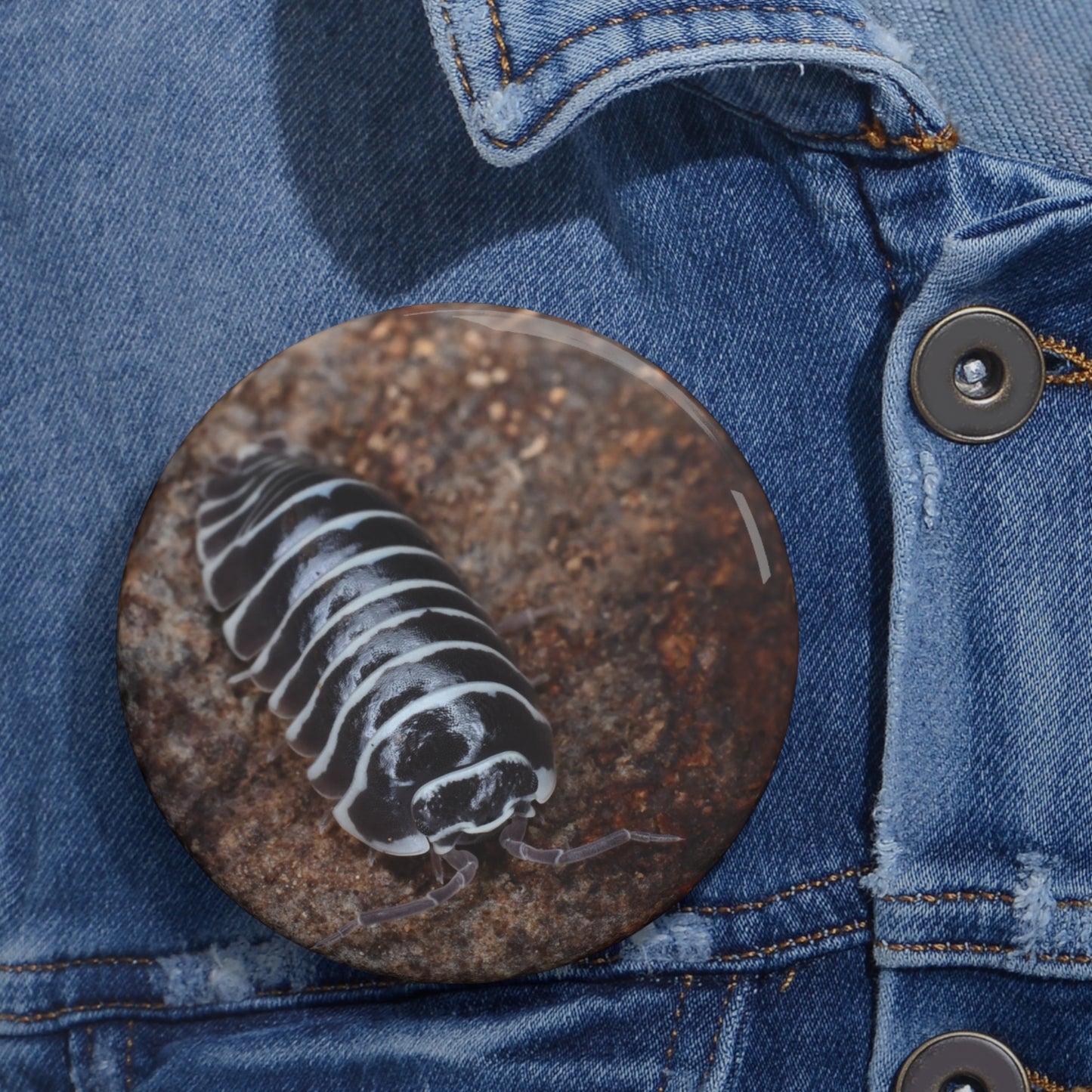 Zebra Isopod Button