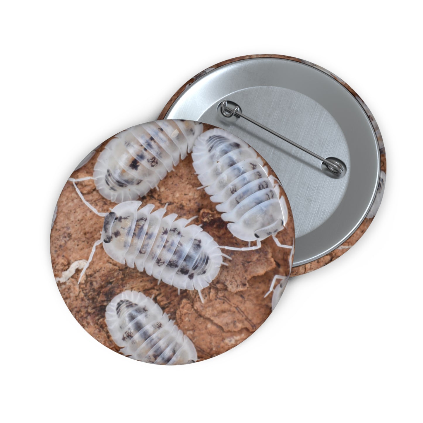 Shiro Utsuri Isopod Button