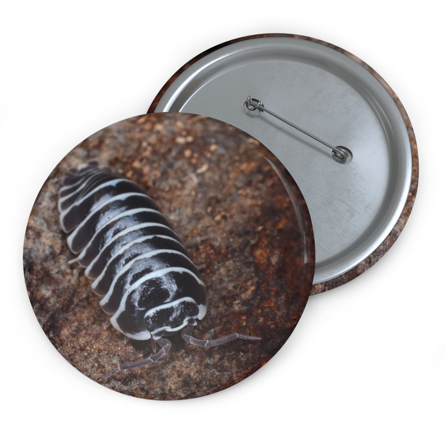 Zebra Isopod Button