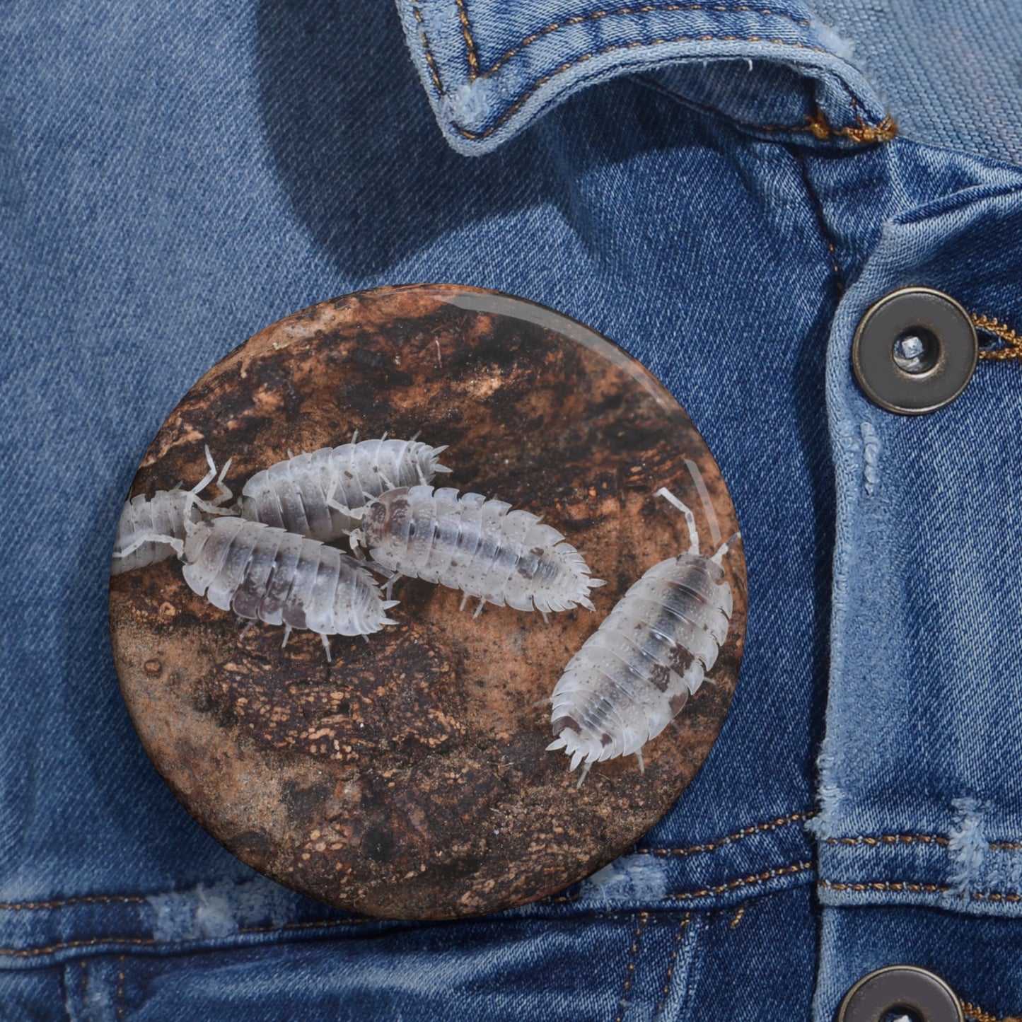 Dalmatian Isopod Button