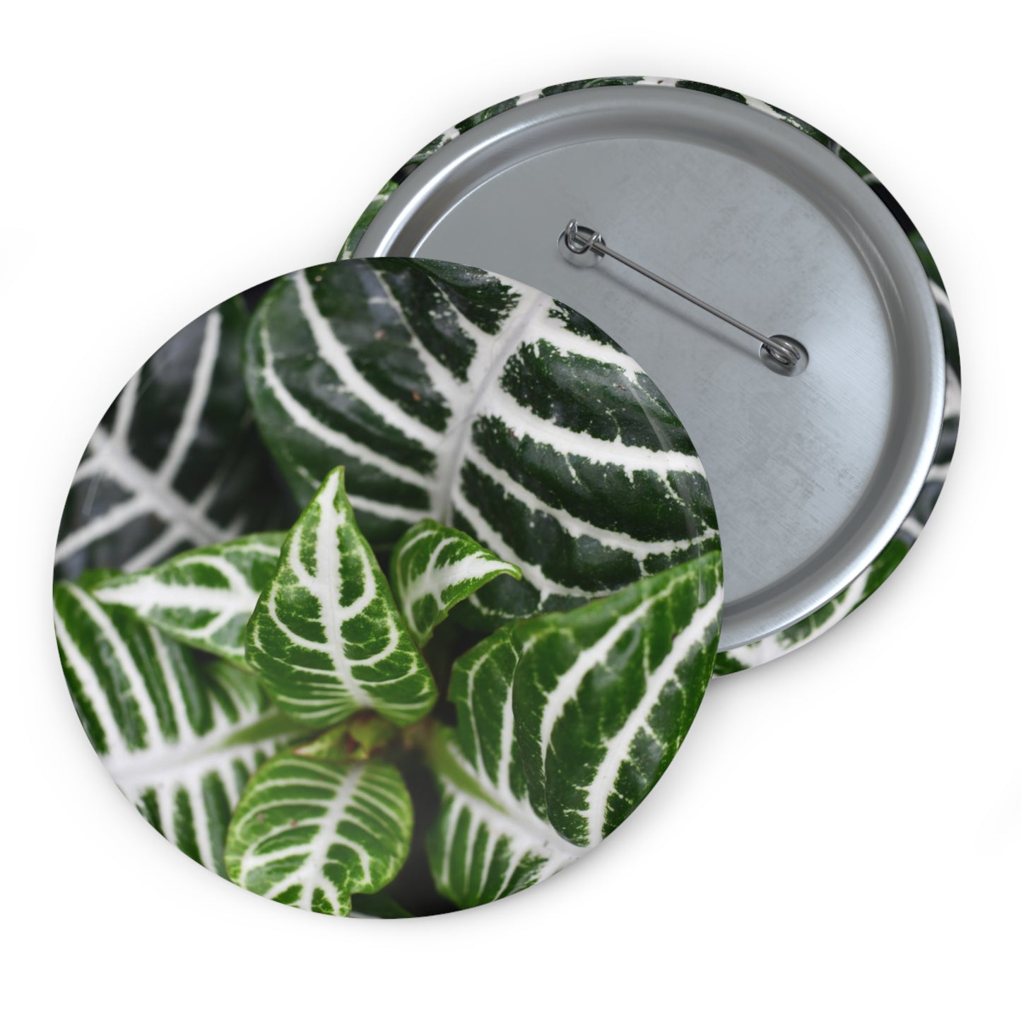 Zebra Plant Button